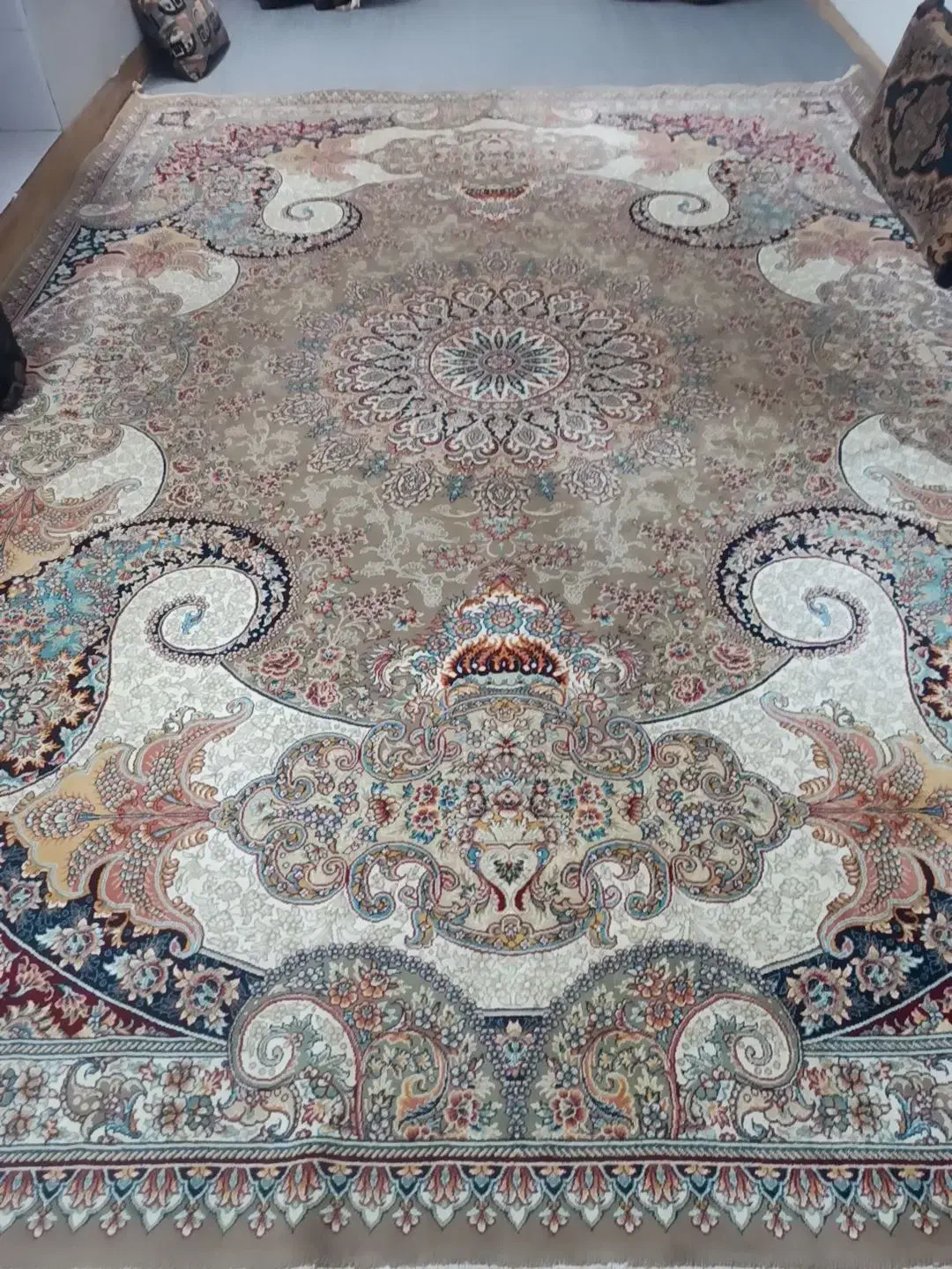 فرش۱۲متری|فرش|تربت جام, جامی|دیوار