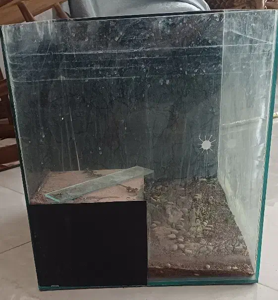 دو عدد اکواریوم کاملا سالم|ماهی|ری, ظهیرآباد|دیوار