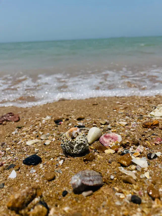 تور ویژه ۴ روزه جزیره قشم|تور و چارتر|قشم, |دیوار