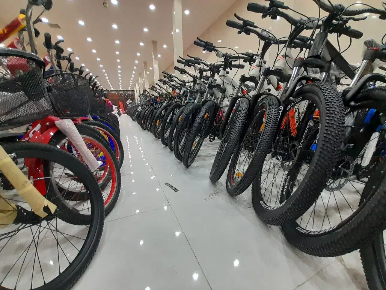 دوچرخه مسابقه ای+& دنده ای24|دوچرخه، اسکیت، اسکوتر|اردبیل, |دیوار