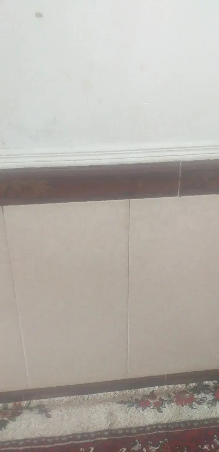 ازصفرتاصدساختمان ایکا سفالکاری آجرکاری پلاستر ا|خدمات پیشه و مهارت|باوی, |دیوار