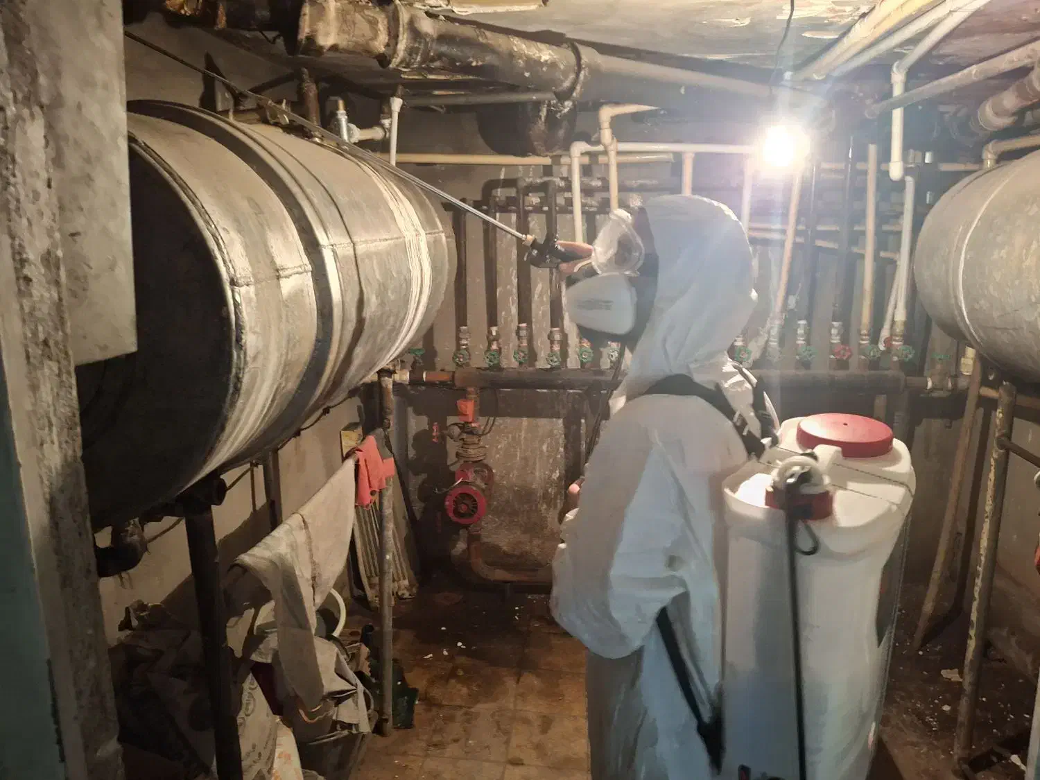 سمپاشی و کنترل آفات مشاوره رایگان|خدمات پیشه و مهارت|تهران, والفجر (افسریه)|دیوار