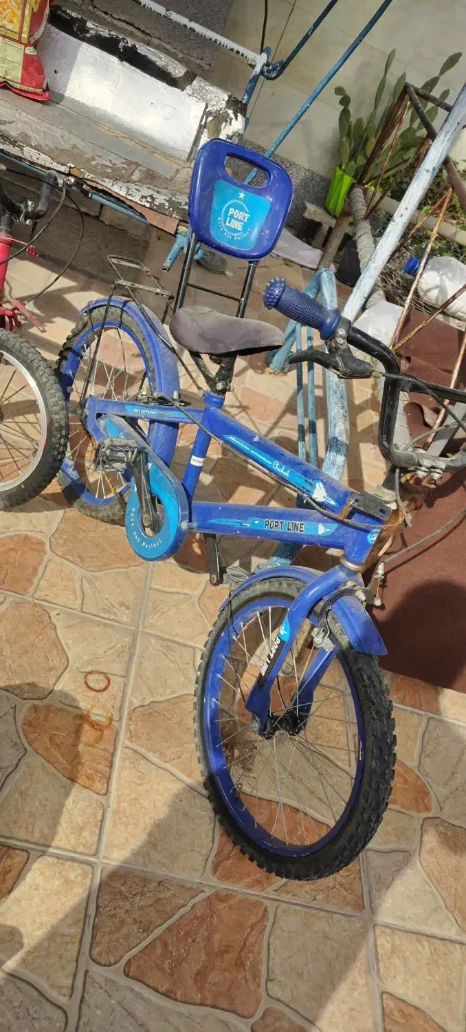 دوچرخه|دوچرخه، اسکیت، اسکوتر|دوگنبدان, |دیوار