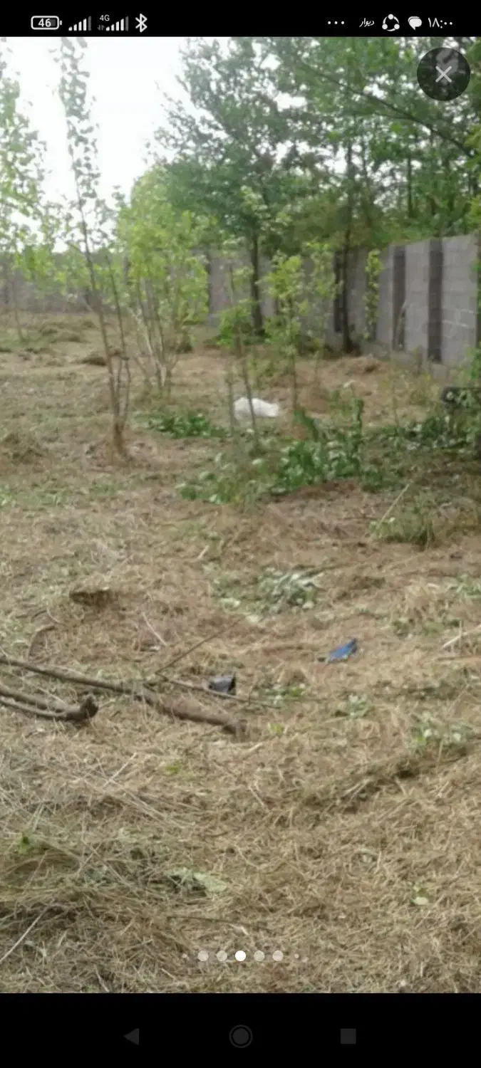 چمن زنی تیم یکنفره و دو نفره|خدمات نظافت|لاهیجان, امیرشهید|دیوار