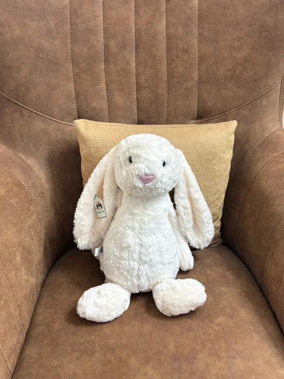 عروسک خرگوش|اسباب‌بازی بچه|آمل, |دیوار