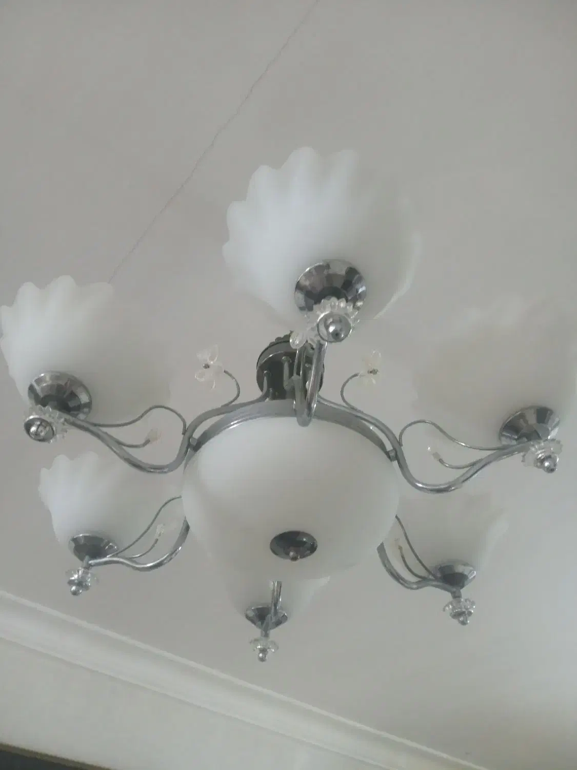 لوستر|لوستر و چراغ آویز|رشت, فلسطین|دیوار