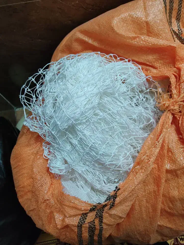 طاقه جل کاشغی|ماهیگیری|قشم, |دیوار