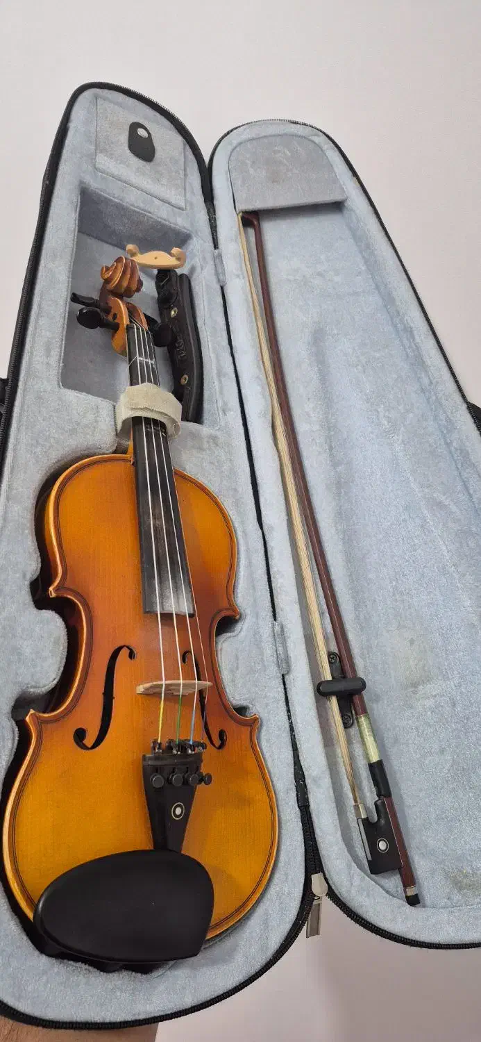 ویولن|ویولن|زرقان, |دیوار