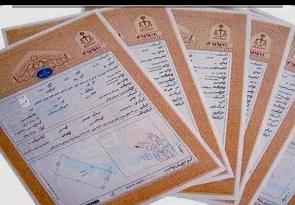 وثیقه اجاره سند برای زندانی|خدمات مالی، حسابداری، بیمه|تهران, جی|دیوار