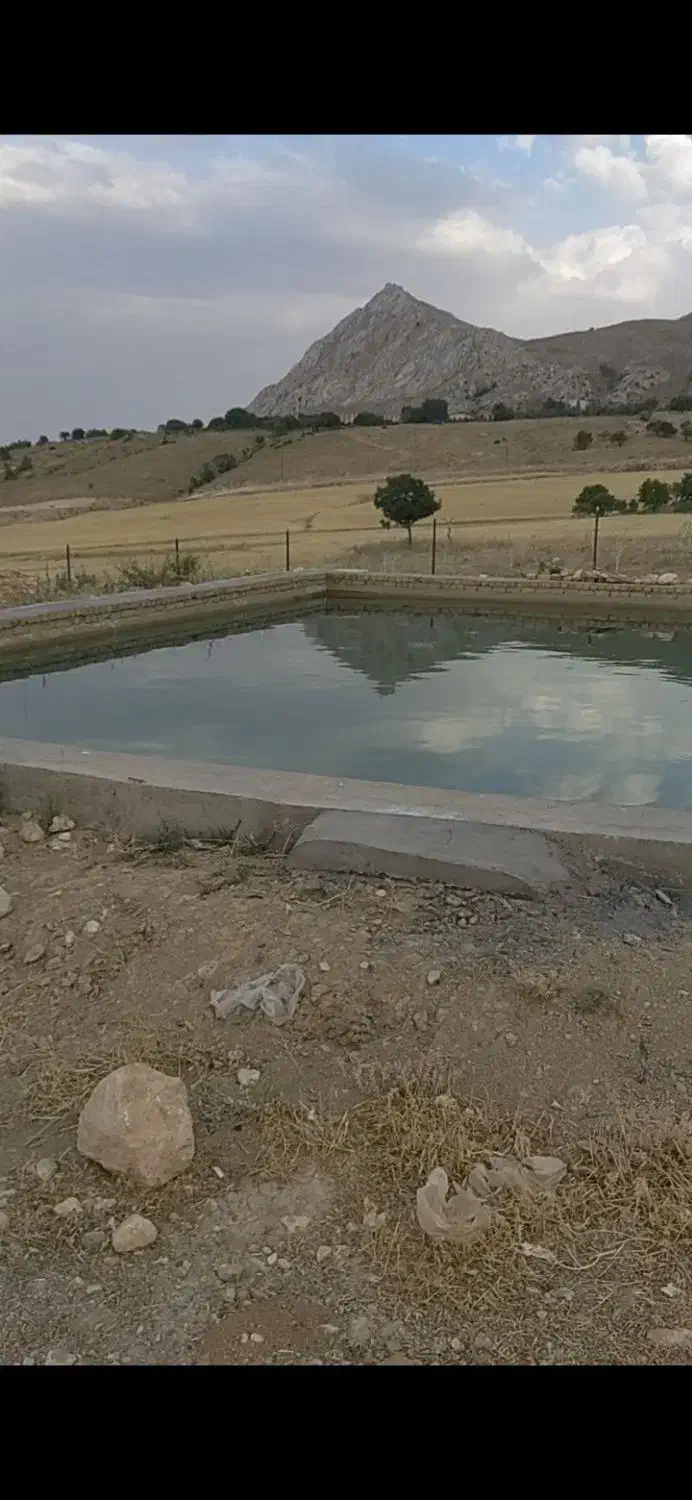 باغ 2 هکتاری در روستای زرند قیدار|فروش زمین و ملک کلنگی|سجاس رود, |دیوار