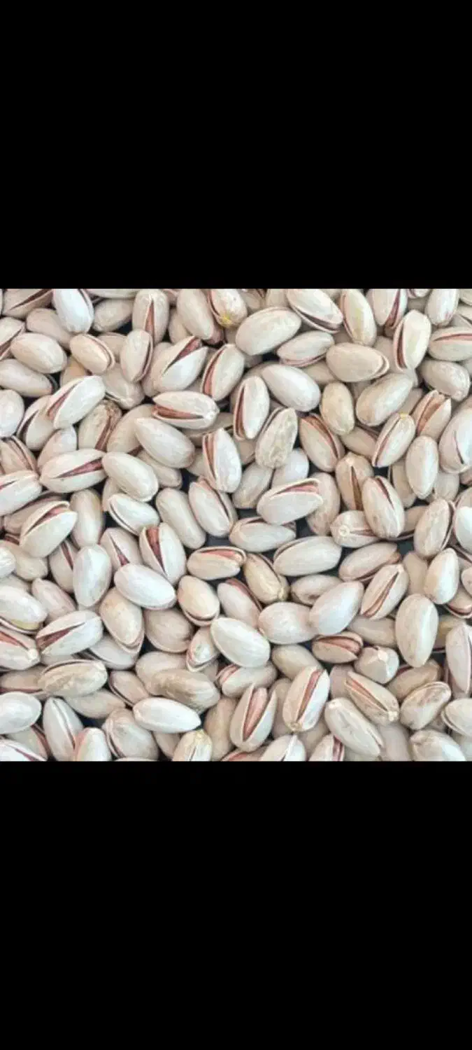 فروش عمده پسته|عمده‌فروشی|مشهد, هفده شهریور|دیوار