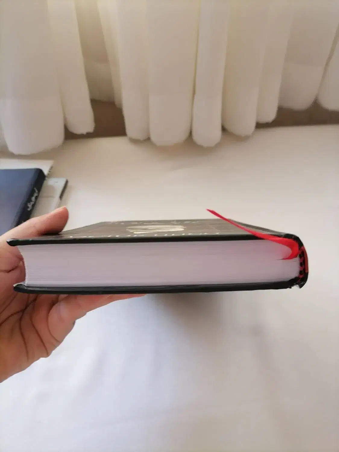 گوژپشت نتردام|کتاب و مجله ادبی|قم, چهار مردان|دیوار