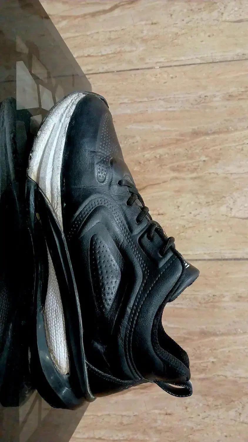 کفش|کیف، کفش، کمربند|کازرون, |دیوار