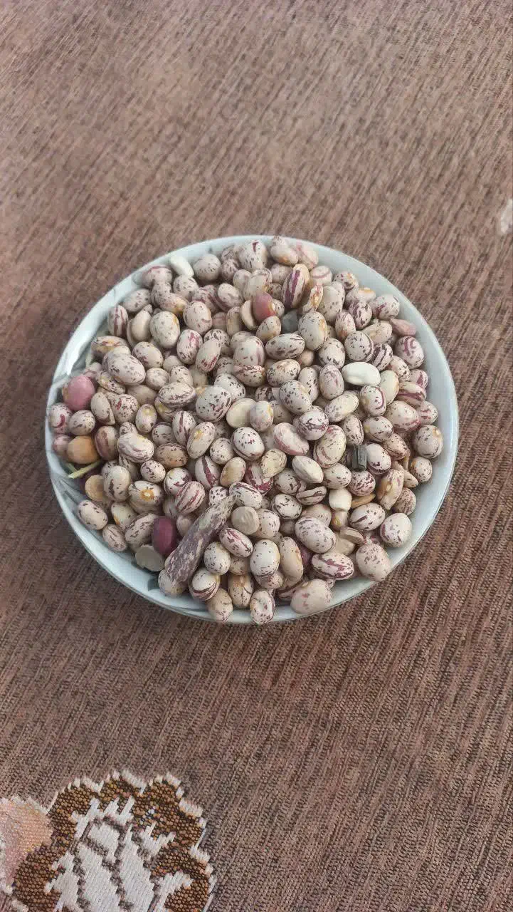 لوبیا چیتی و قرمز|خوردنی و آشامیدنی|تهران, قصر فیروزه ۱|دیوار