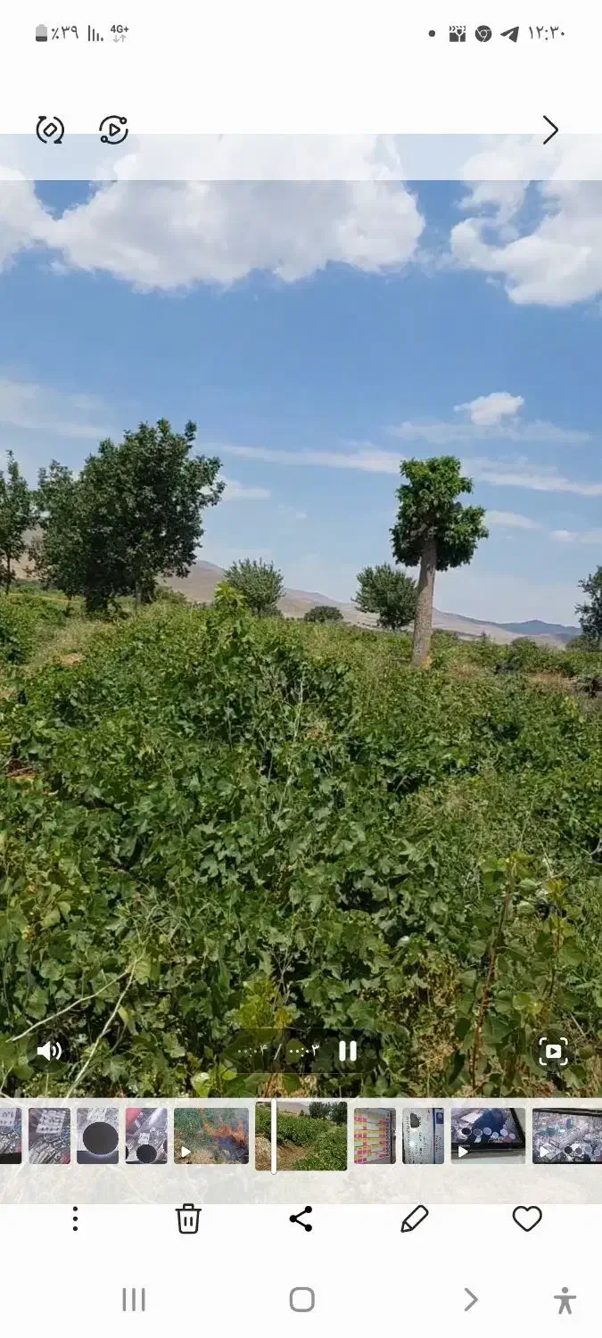 اجاره باغ انگوری وزمین کشاورزی|اجارهٔ دفتر صنعتی، کشاورزی، تجاری|ملایر, |دیوار