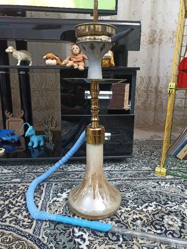 قلیون عربی|کوهنوردی و کمپینگ|بیرجند, |دیوار