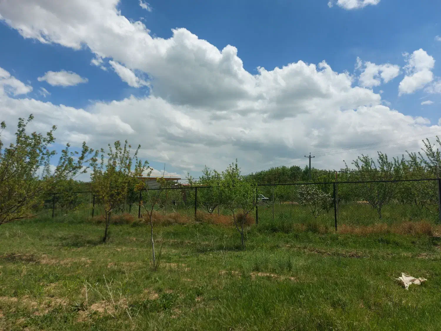 باغ فروشی آستانه|فروش زمین و ملک کلنگی|شازند, |دیوار