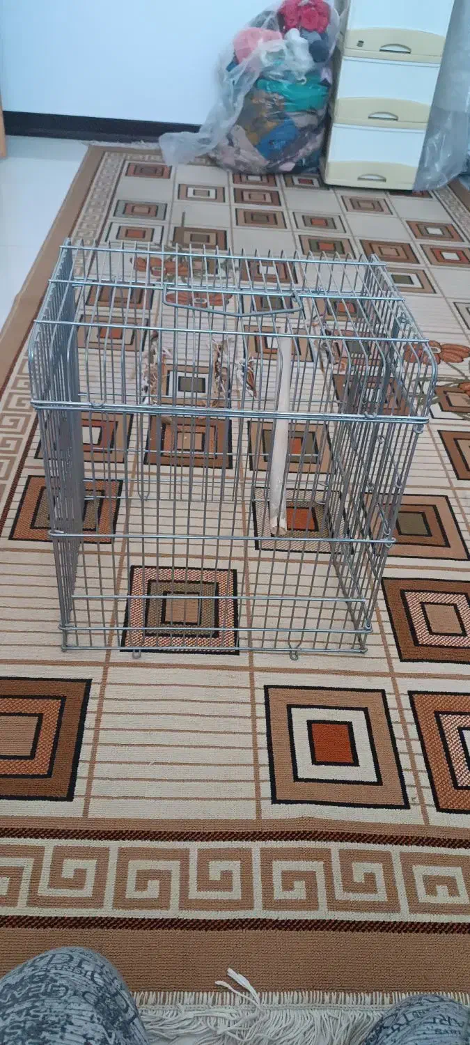 قفس|لوازم جانبی حیوانات|شاهینشهر, گرگاب|دیوار