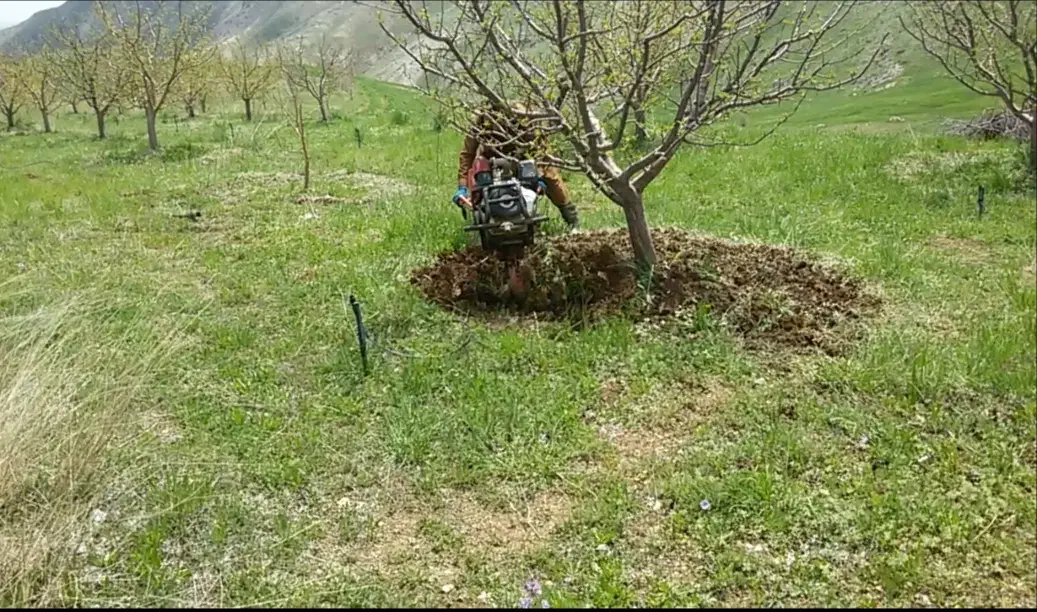 شخم پاییزه درختان وچال کود|خدمات باغبانی و درختکاری|مهاباد (آذربایجان غربی), |دیوار