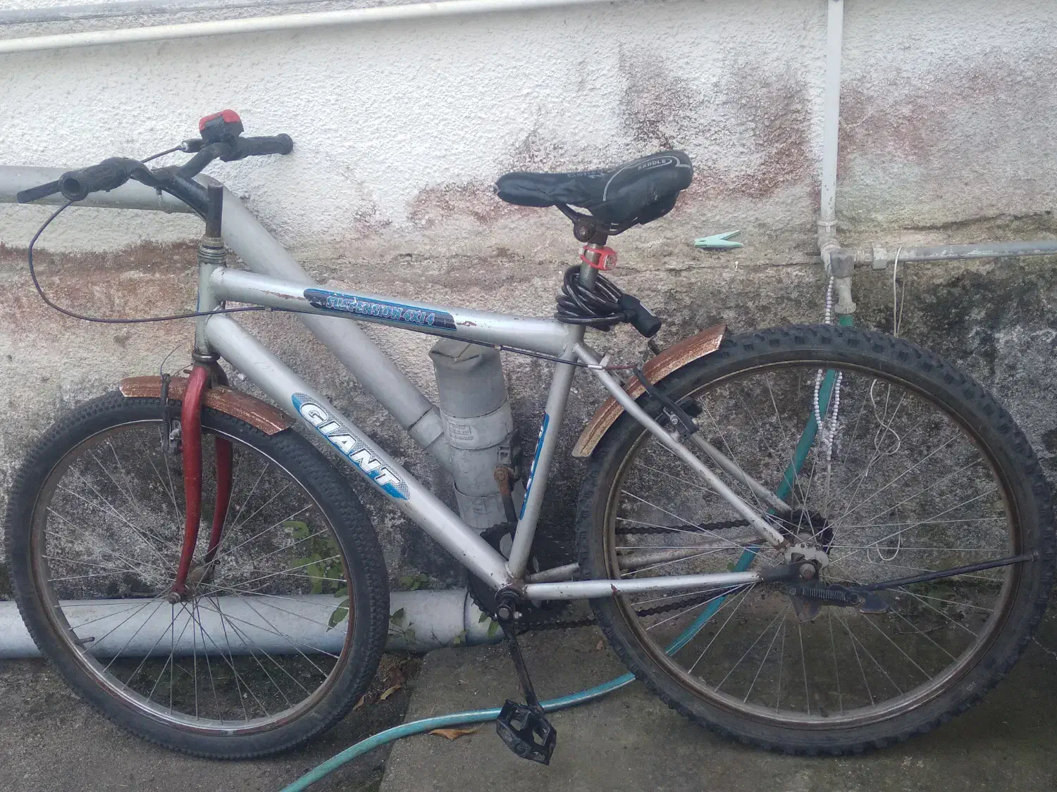 دوچرخه ۲۶|دوچرخه، اسکیت، اسکوتر|رامسر, |دیوار