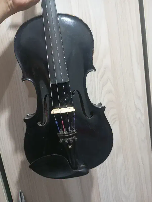 ویالون|ویولن|شوشتر, |دیوار