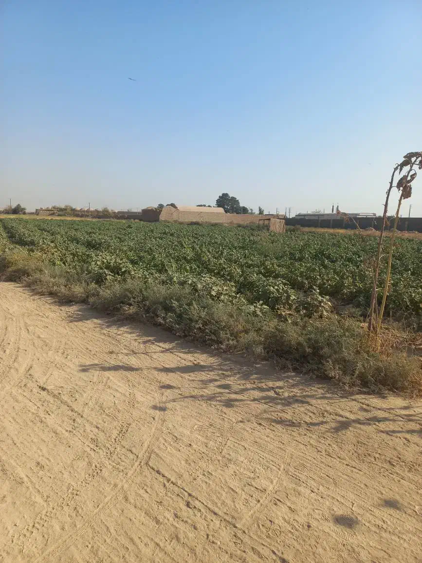 فروش ۴۲۷۰متری زمین کشاورزی روستای تجره|فروش زمین و ملک کلنگی|جوادآباد, |دیوار