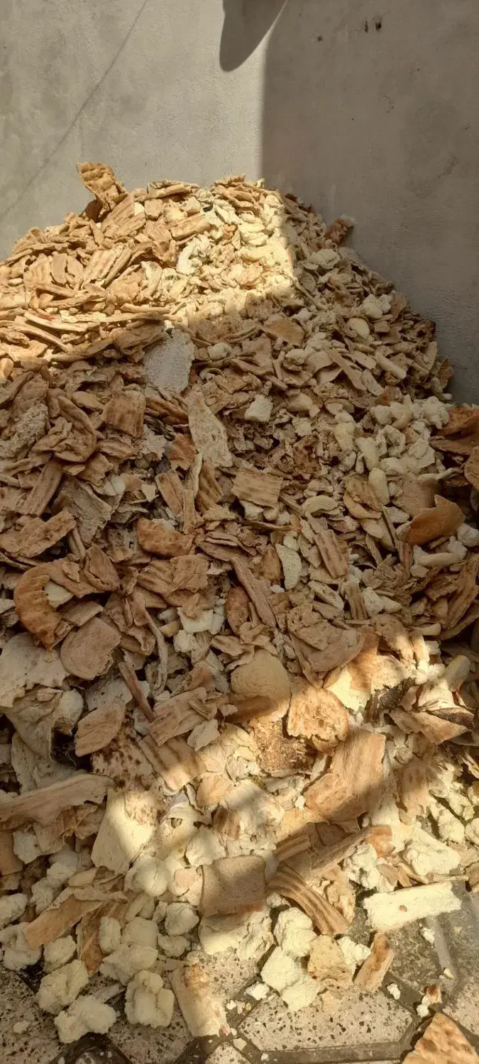 نون خشک فرداعلاتمیز|لوازم جانبی حیوانات|رضویه, |دیوار