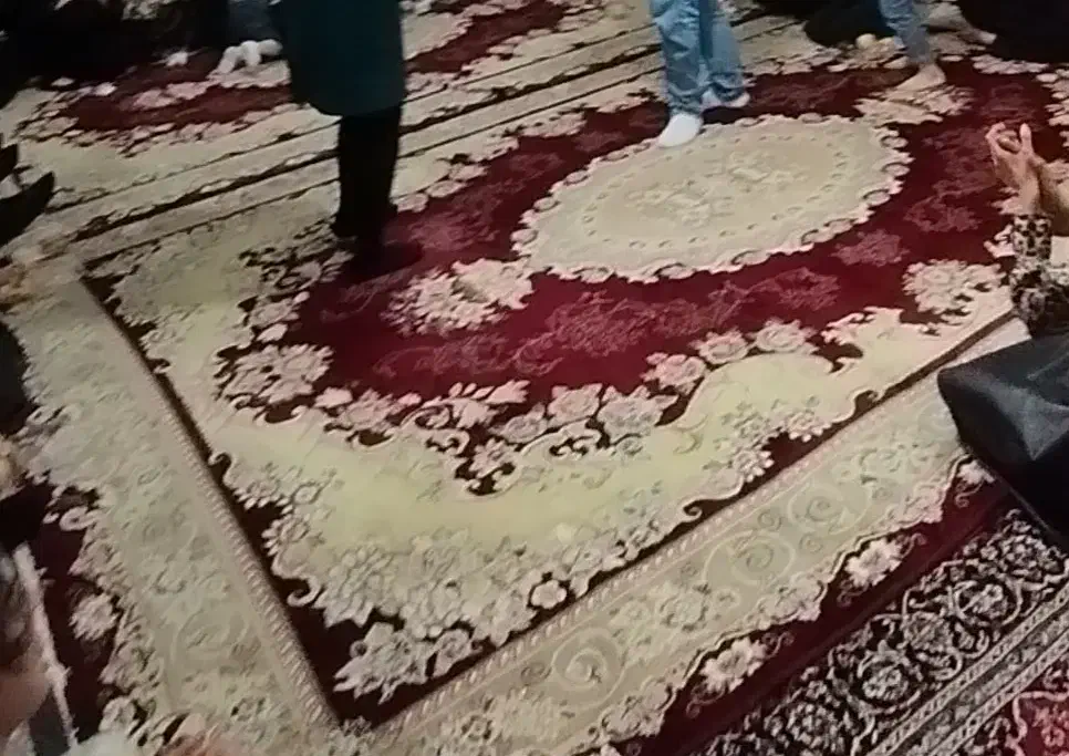 دو عدد فرش ۱۲ متری|فرش|خزل, |دیوار