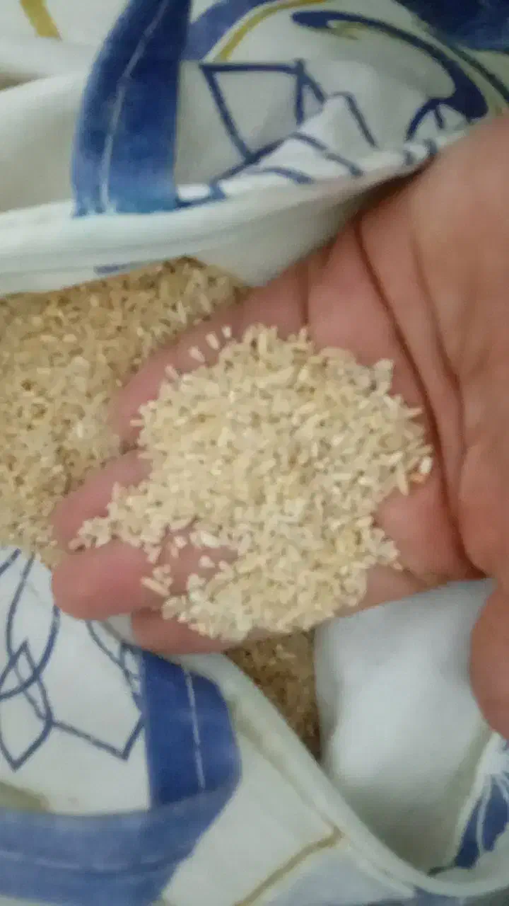 برنج دودی|خوردنی و آشامیدنی|بروجرد, |دیوار