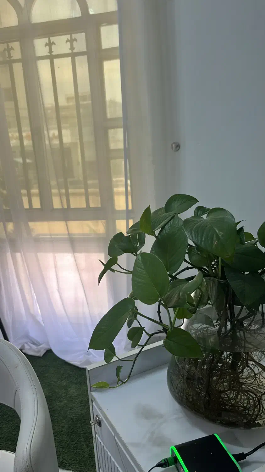 اجاره لاین کاشت مژه و فیشیال|اجارهٔ دفتر کار، اتاق اداری، مطب|جیرفت, |دیوار