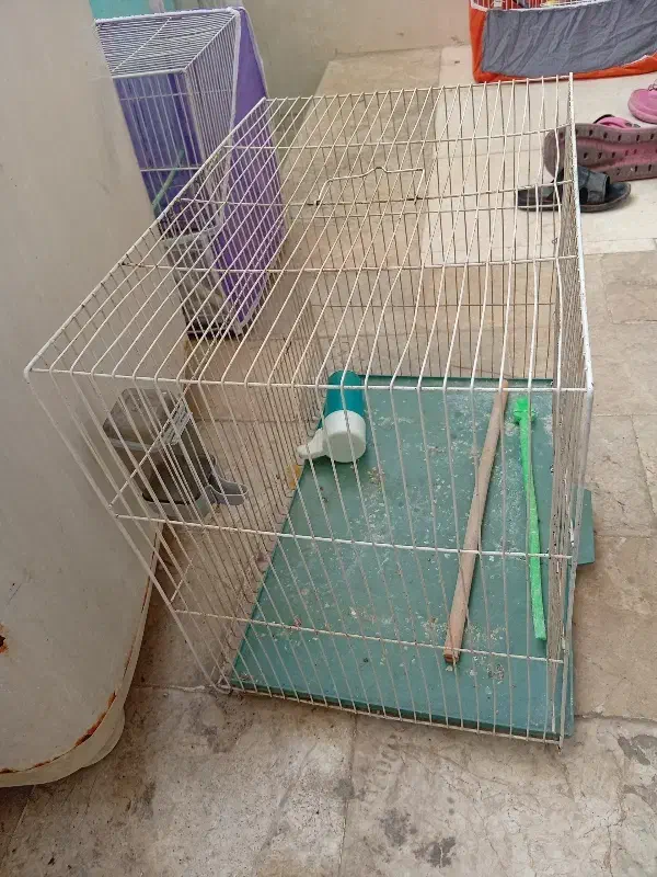 قفس|لوازم جانبی حیوانات|مشهد, شهرک مهر آباد|دیوار