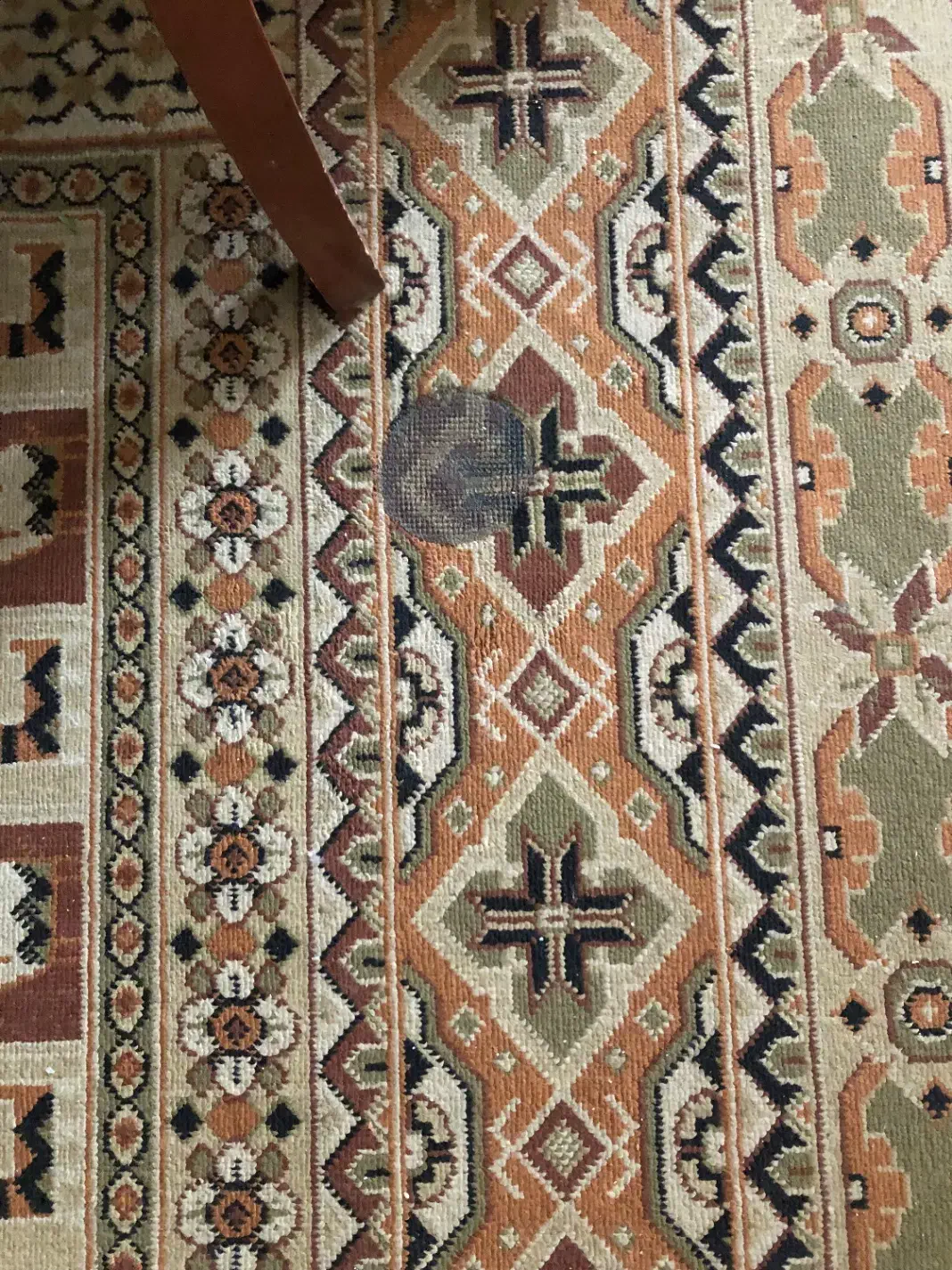 گلیم فرش ۶ متری|گلیم، جاجیم، گبه|همدان, |دیوار