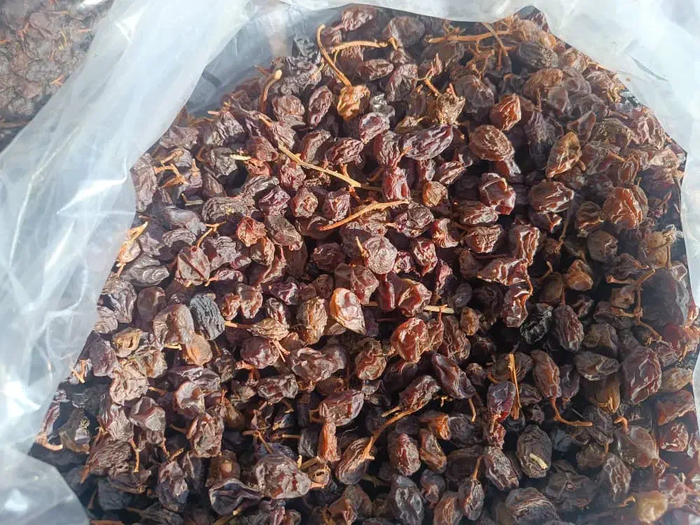 مویز|عمدهفروشی|نورآباد ممسنی, |دیوار