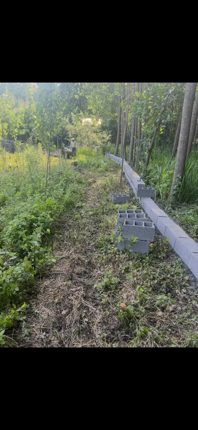 ۲۳۵متر زمین دوبحر لاهیجان رودبنه لاکمه سر|فروش زمین و ملک کلنگی|رودبنه, |دیوار