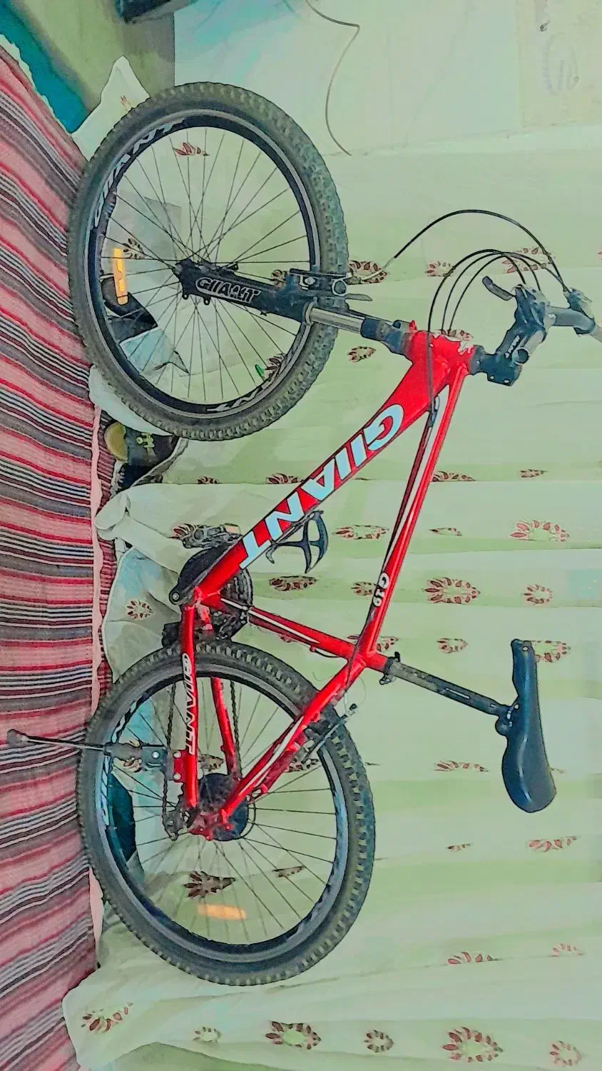 دوچرخه ۲۶|دوچرخه، اسکیت، اسکوتر|اهواز, عین ۲|دیوار