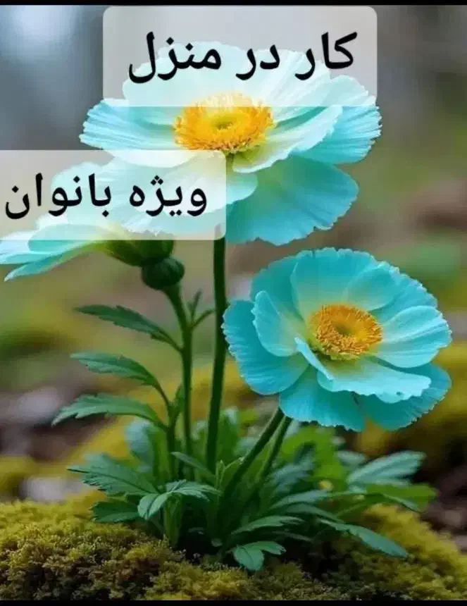 تعدادی خانم فعال جهت نماینده فروش در شرکت مهلران|استخدام بازاریابی و فروش|پاکدشت, خاتون آباد|دیوار