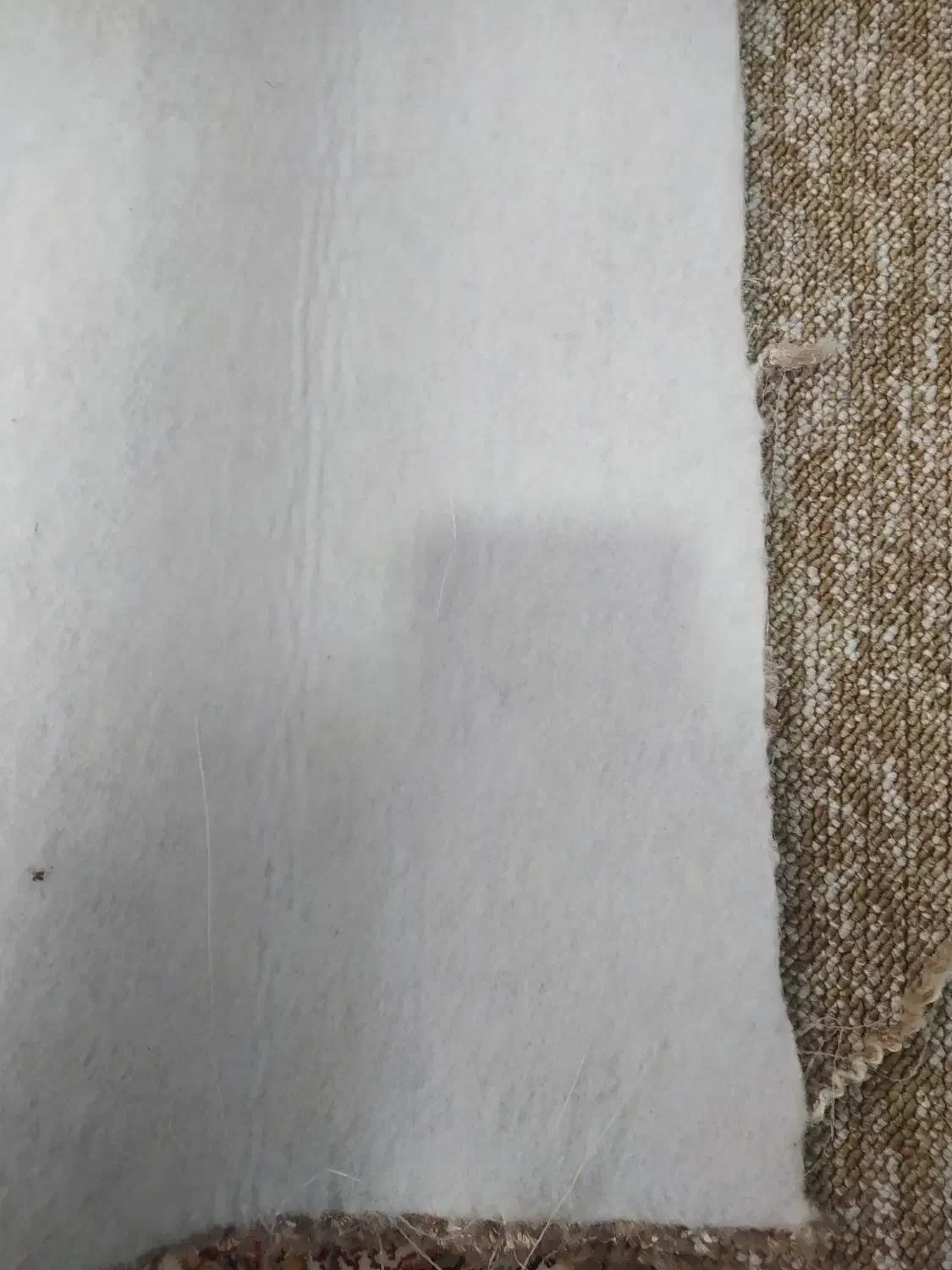 پالاز موکت در حد نو|موکت|شاهدشهر, |دیوار