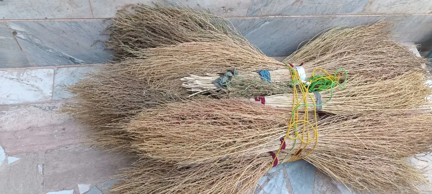 حراج جاروی محلی|لوازم نظافت|بیرجند, |دیوار