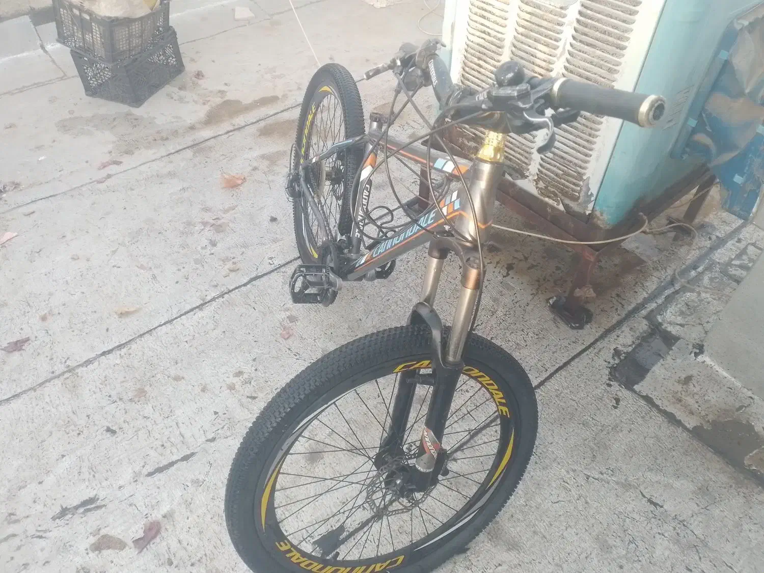 دوچرخه|دوچرخه، اسکیت، اسکوتر|اشتهارد, |دیوار