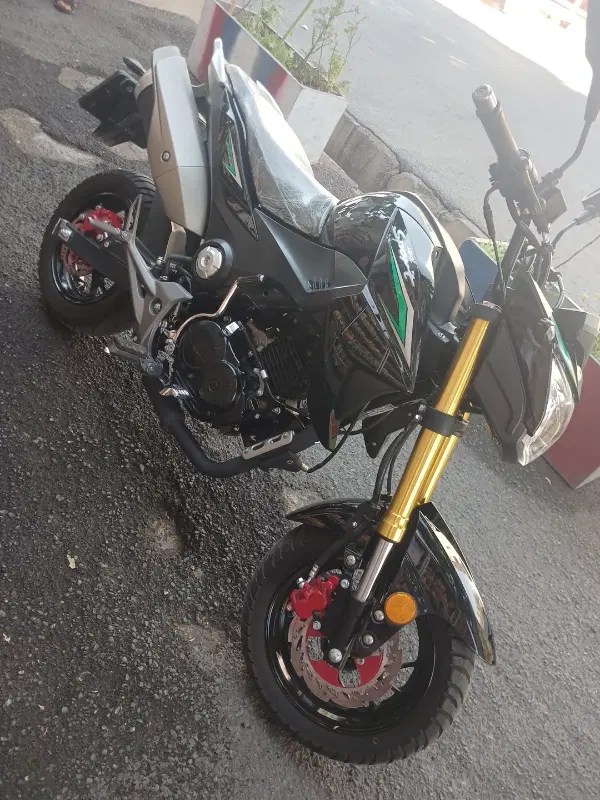 موتور سیکلت آشیل 150cc مدل 1401 صفر|موتورسیکلت|شیراز, پودنک|دیوار