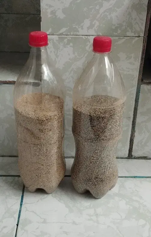 بذر درجه یک|گل و گیاه طبیعی|کوهدشت, |دیوار