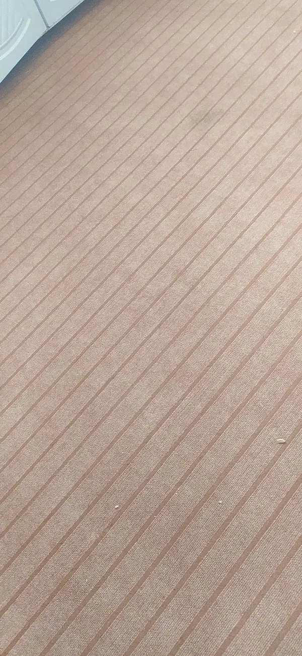 موکت|موکت|مبارکه, |دیوار