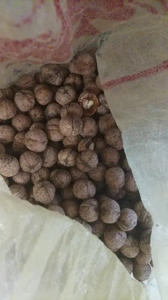 گردو|خوردنی و آشامیدنی|یزد, |دیوار