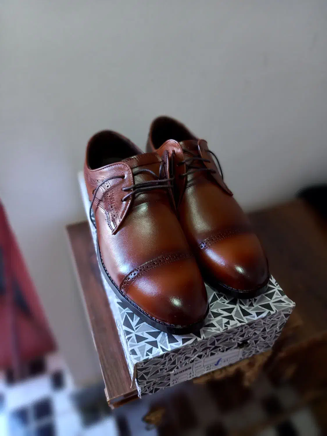 کفش چرمی|کیف، کفش، کمربند|اهر, |دیوار
