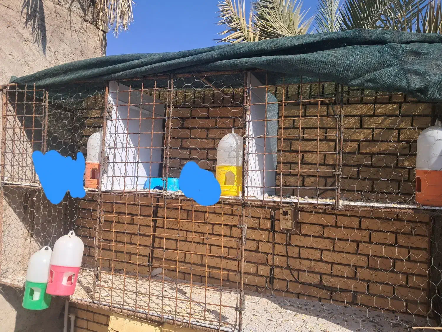 قفس کفتر|پرنده|رفسنجان, |دیوار