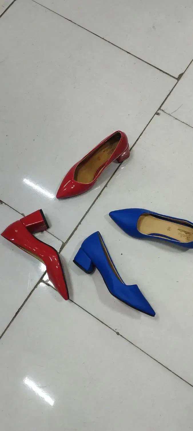 زنانه مجلسی ۱۹۹ت|کیف، کفش، کمربند|بیرجند, |دیوار