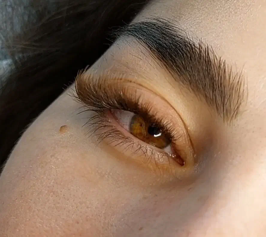 تخفیفات  جهت خدمات اکستنشن مژه و لیفت ابرو فقط ۳۰۰|خدمات آرایشگری و زیبایی|شیراز, گویم|دیوار