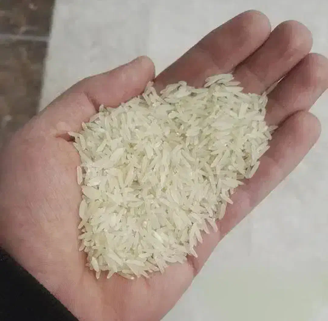 برنج فجر در یک به شرط پخت|خوردنی و آشامیدنی|فاضل آباد, |دیوار