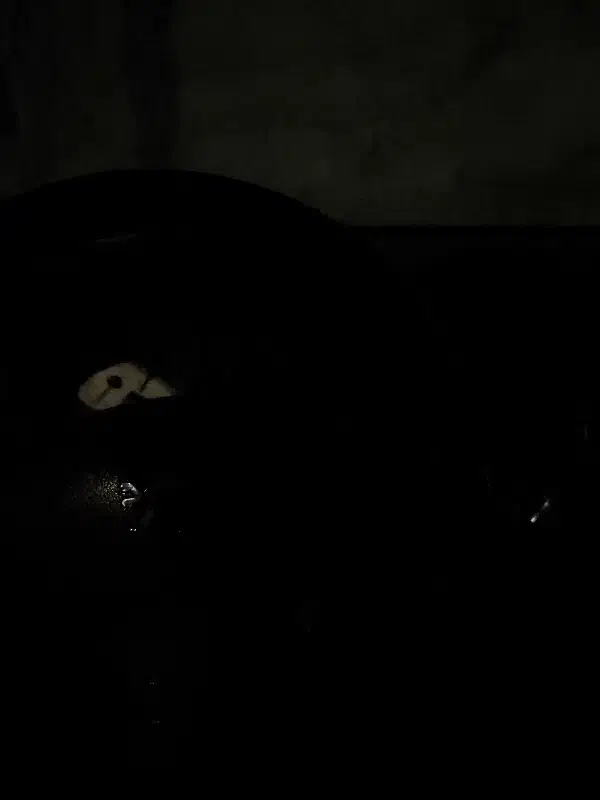 206|خودرو سواری و وانت|کاشان, حسن آباد|دیوار