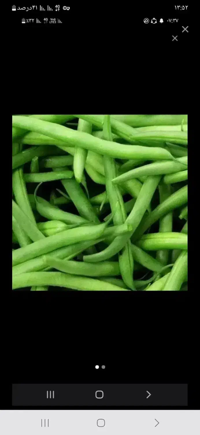 گارگر برای جمع آوری پیاز هویچ سیب زمینی|خدمات باغبانی و درختکاری|گنبد کاووس, |دیوار